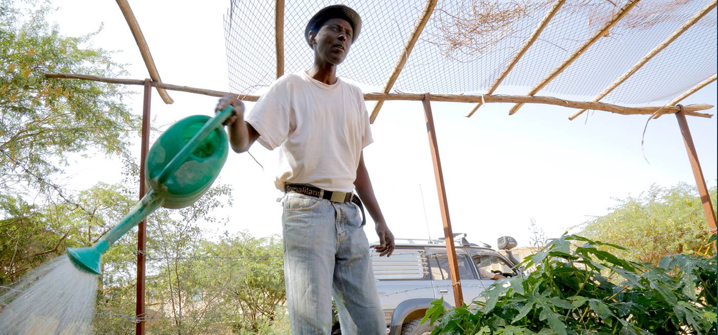 somali farmer investments