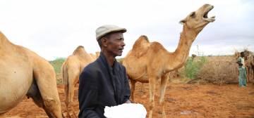 Small Medium Enterprise Fund for Somalia