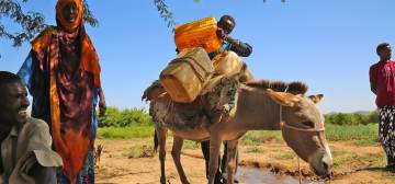 Norfund Aid for Somalia